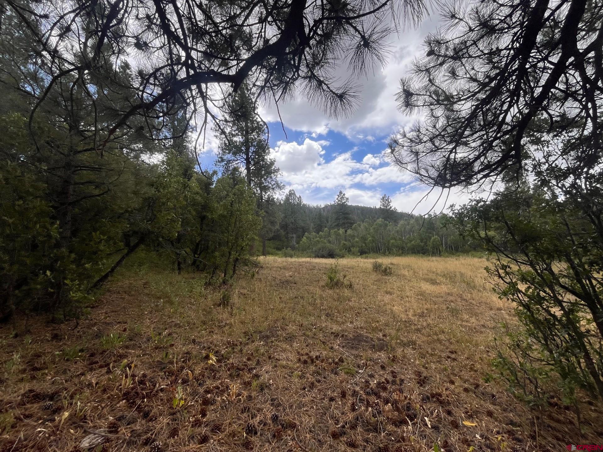 3230 Bear Creek Road Bayfield, CO 81122 - Photo 9 of 17 a view of outdoor space and yard