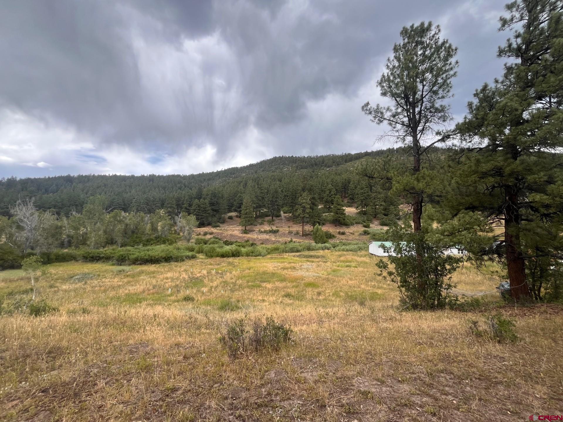 3230 Bear Creek Road Bayfield, CO 81122 - Photo 10 of 17 a view of a yard with a tree