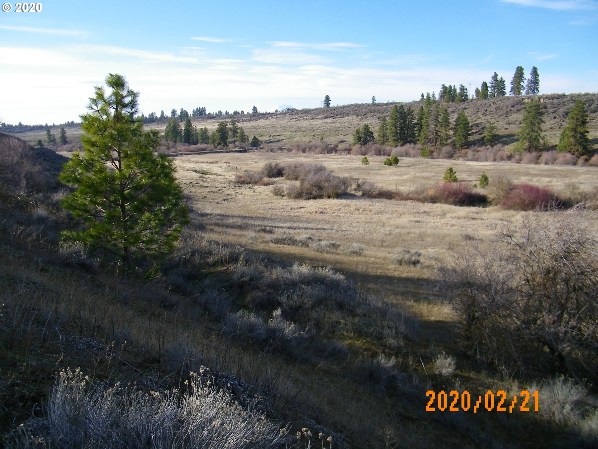 Esteb Road, Unit 1 Goldendale, WA 98620 - Photo 8 of 14 Gallery Image 8