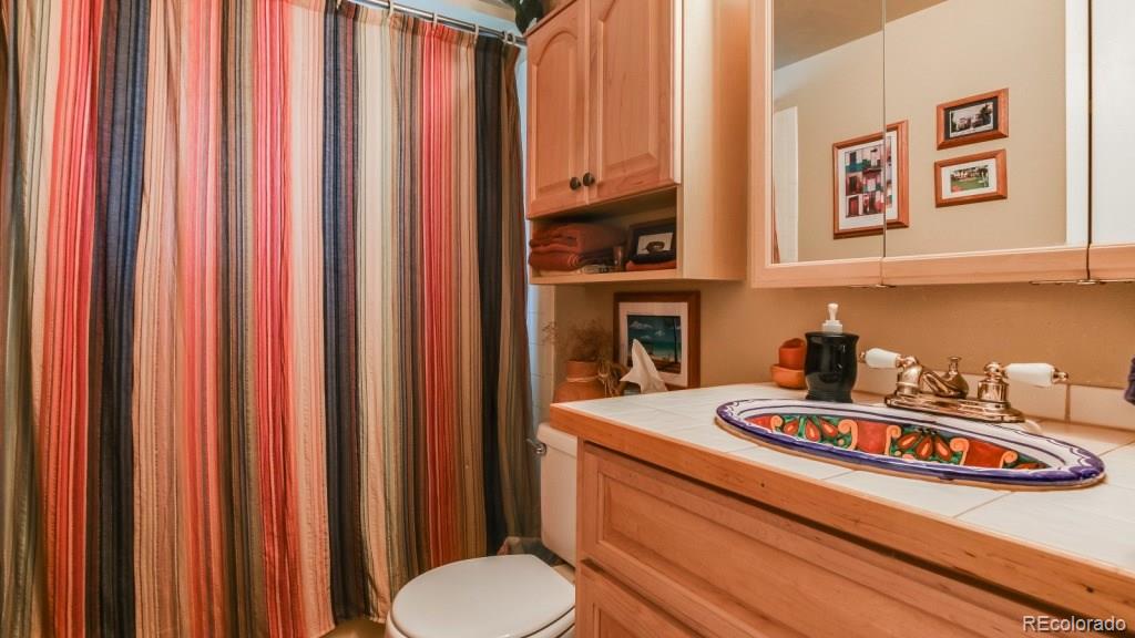 29353 Lee Road Evergreen, CO 80439 - Photo 22 of 35 Gallery Image 22