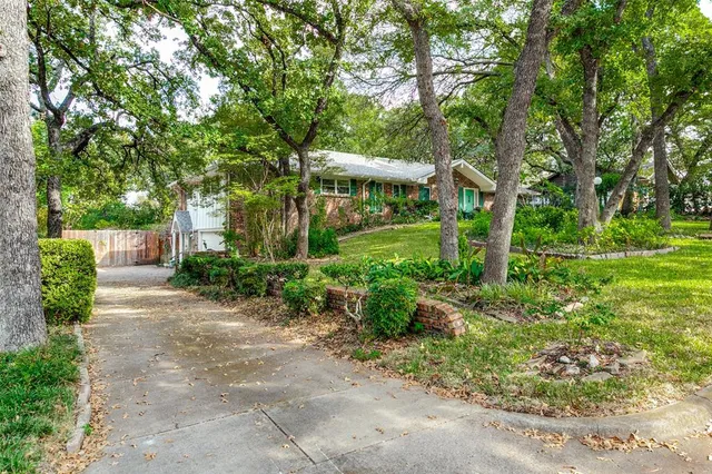 a backyard of a house with plants and large trees
