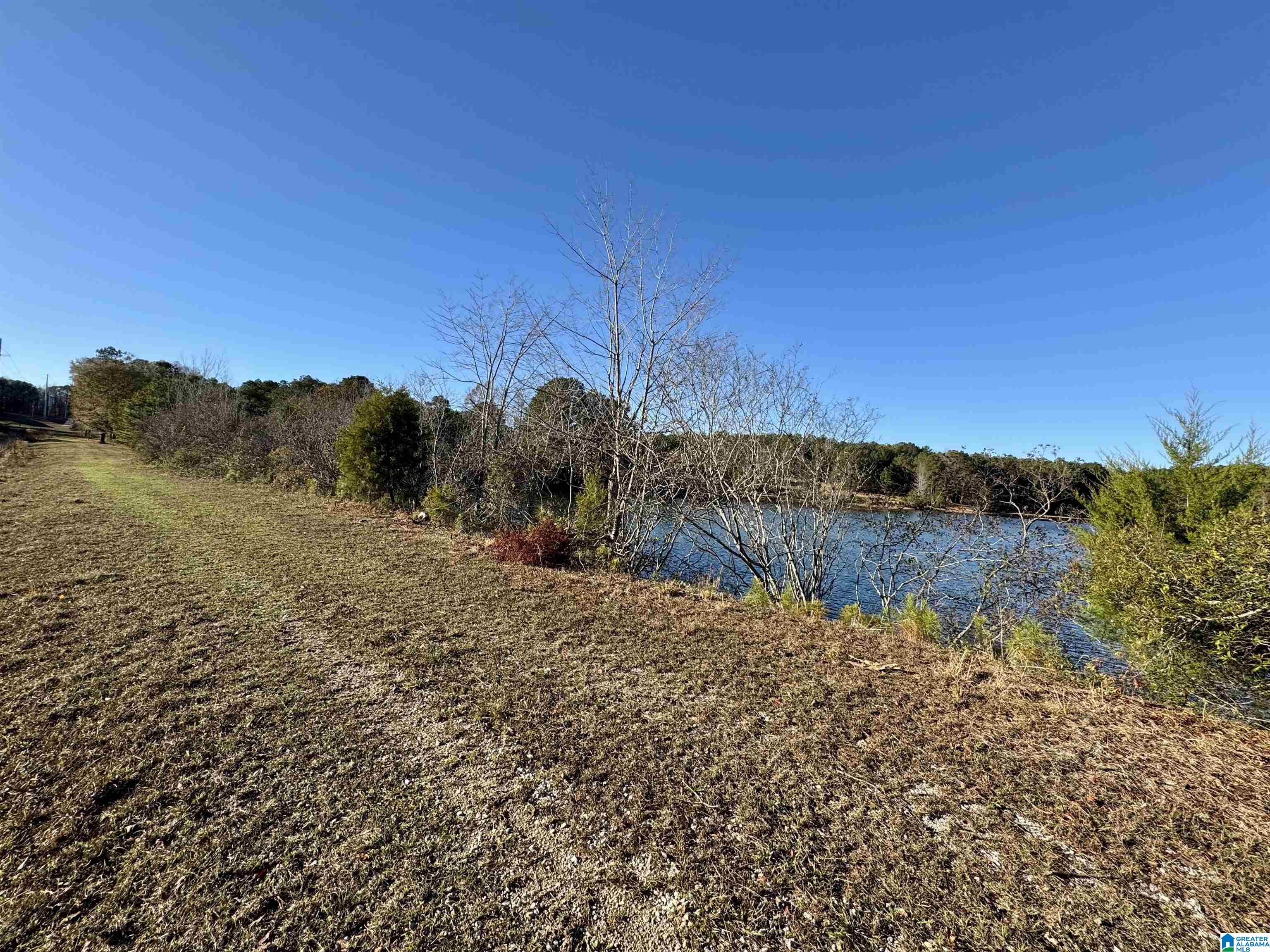 10000 Eastern Valley Road, Unit 10000 West Blocton, AL 35184 - Photo 14 of 21