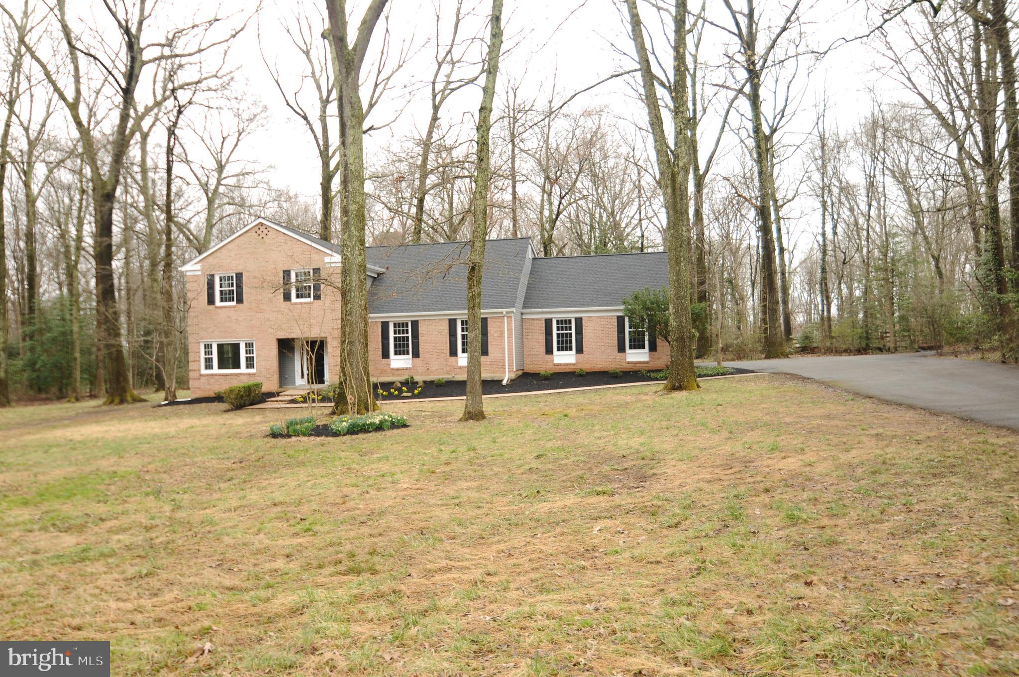 12023 Canter Lane Reston, VA 20191 - Photo 3 of 48 So much Privacy!
