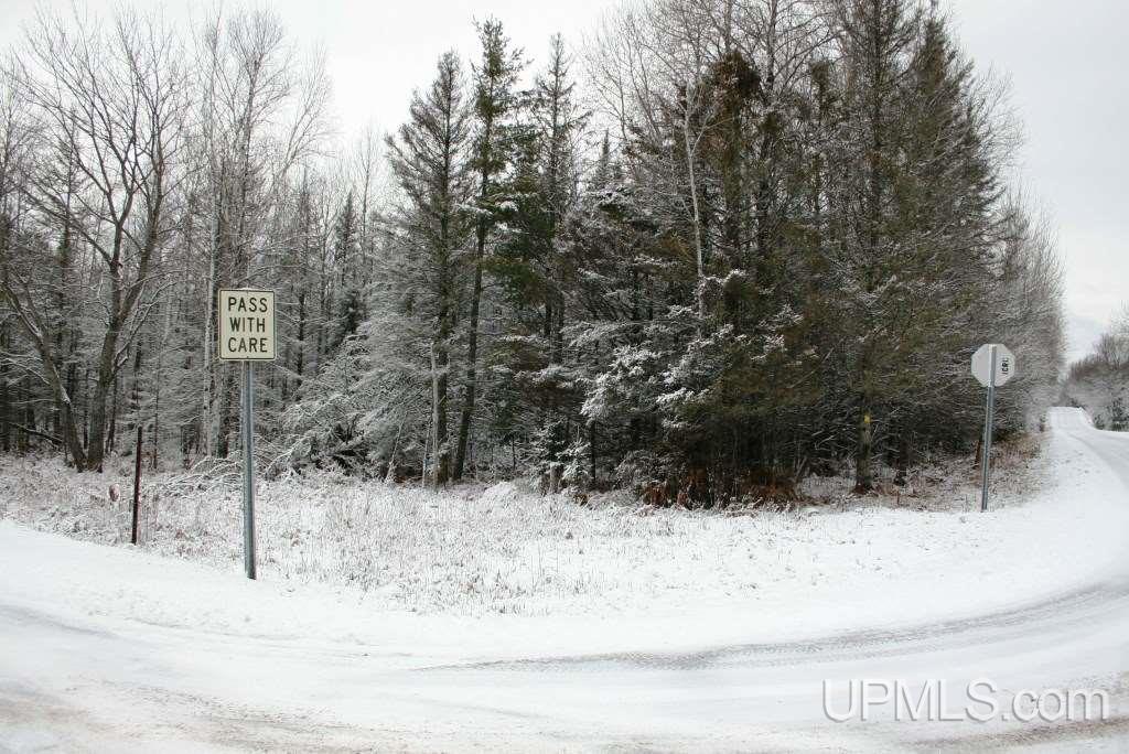 Tbd Hietanen Road Iron River, MI 49935 - Photo 1 of 10 Gallery Image 1