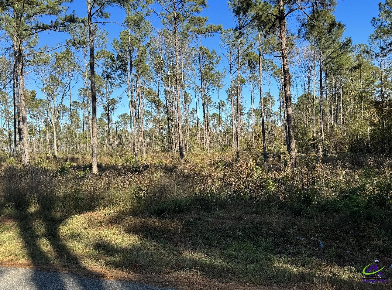 Tract-8 Lower Simmons Road Macon, GA 31220 - Photo 4 of 13