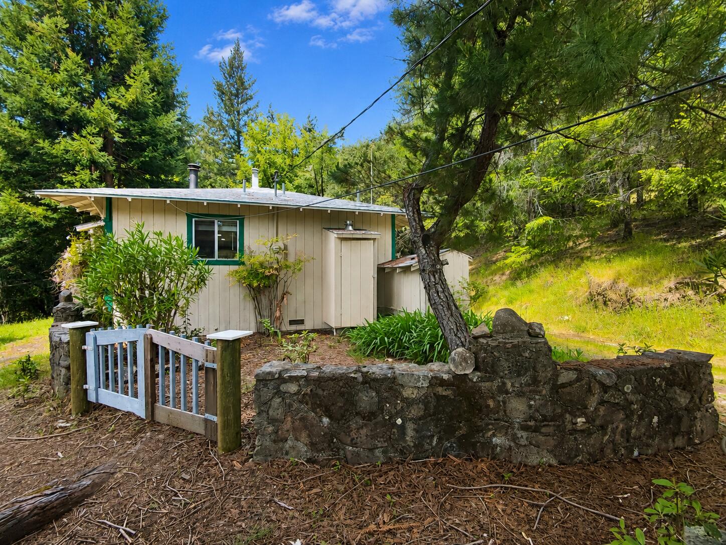 565 Bear Pen Road Piercy, CA 95587 - Photo 4 of 24