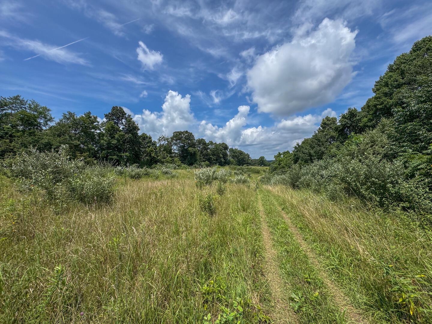 0 Boden Road Cambridge, OH 43725 - Photo 93 of 102 Parcel 5 -30