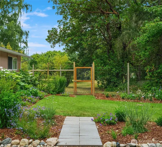 a view of a park with plants and trees