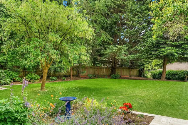 a view of a garden with a bench