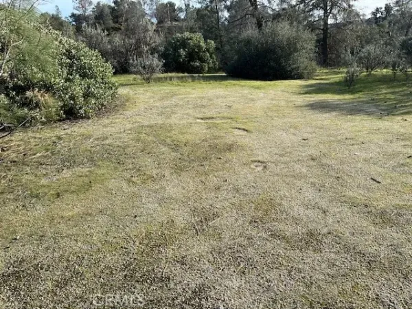 a view of a yard with a house