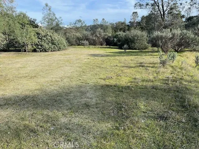 a view of a yard with an outdoor space