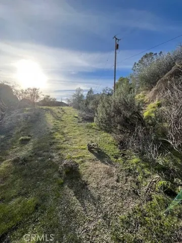 a view of a yard in a town