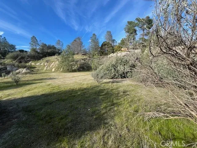 a view of a field with an ocean