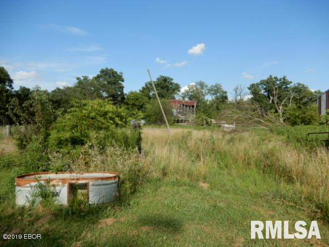 0 East Pheasant Road Kinmundy, IL 62854 - Photo 4 of 13