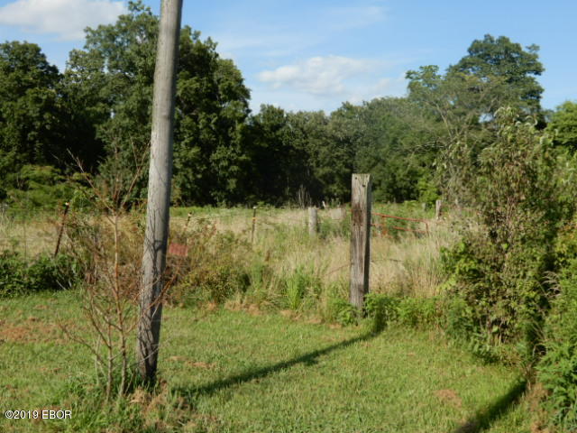 0 East Pheasant Road Kinmundy, IL 62854 - Photo 5 of 13