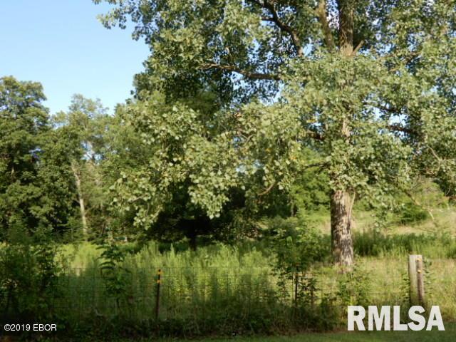 0 East Pheasant Road Kinmundy, IL 62854 - Photo 6 of 13