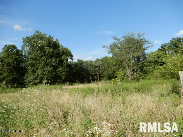 0 East Pheasant Road Kinmundy, IL 62854 - Photo 7 of 13