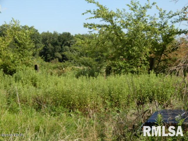 0 East Pheasant Road Kinmundy, IL 62854 - Photo 8 of 13