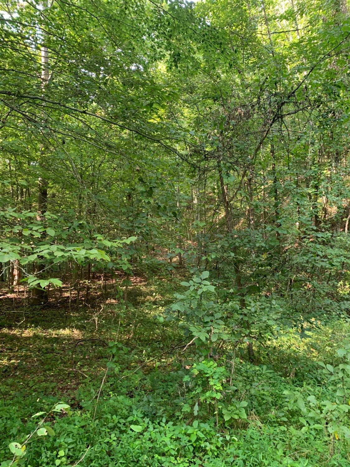 0 Upper Cane Creek Road Stanton, KY 40380 - Photo 32 of 34 Photo 34