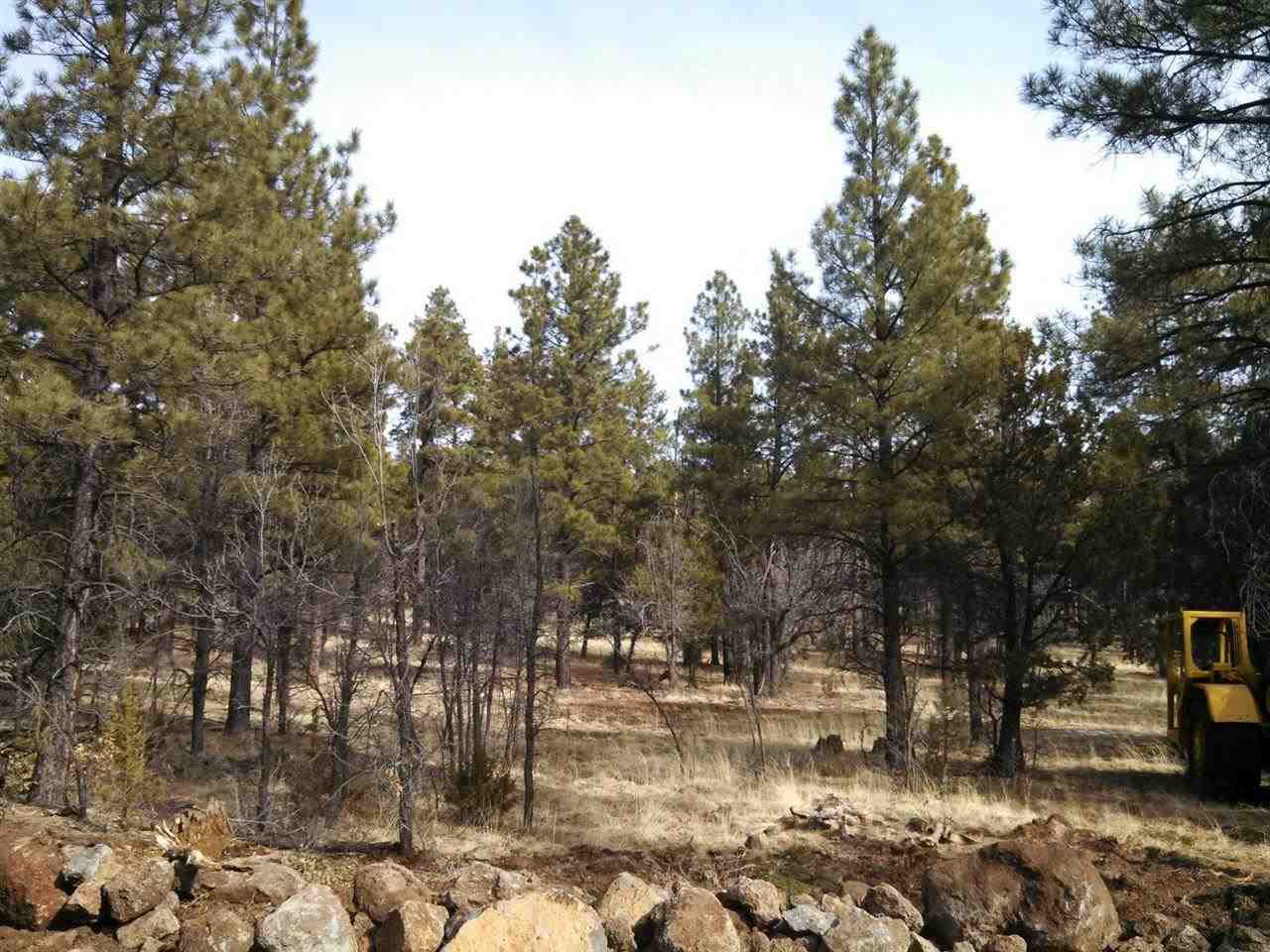 Tbd-2 Tbd-2 Porter Mountain Road Snowflake, AZ 85937 - Photo 14 of 21