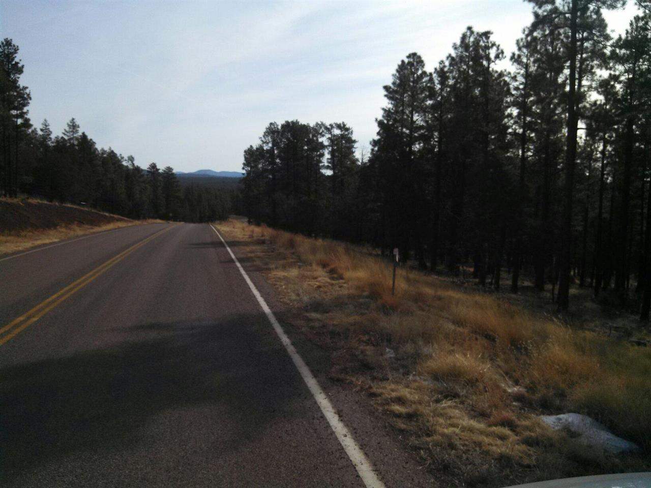 Tbd-2 Tbd-2 Porter Mountain Road Snowflake, AZ 85937 - Photo 21 of 21