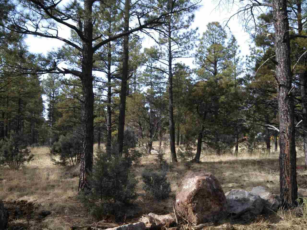 Tbd-2 Tbd-2 Porter Mountain Road Snowflake, AZ 85937 - Photo 4 of 21