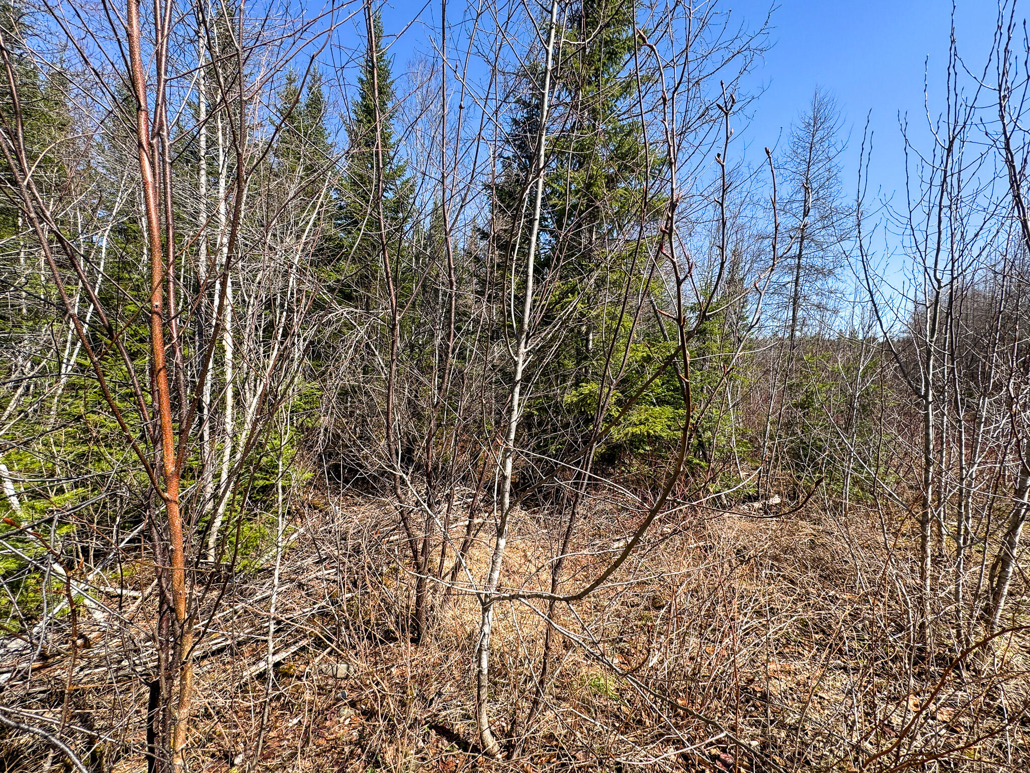 144 Black Water Road Ashland, ME 04732 - Photo 11 of 35 IMG_2648