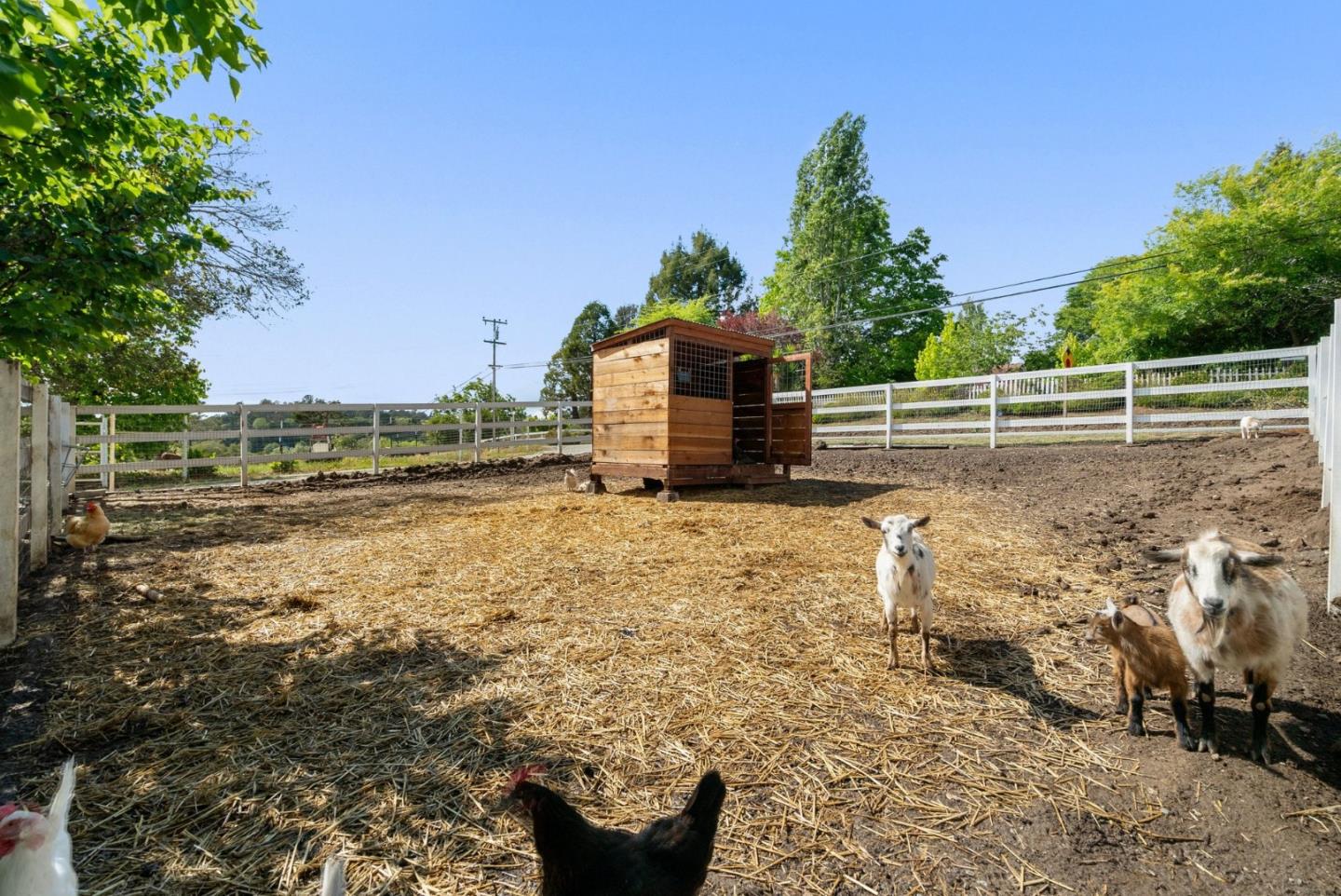 295 Wheelock Road Watsonville, CA 95076 - Photo 37 of 46