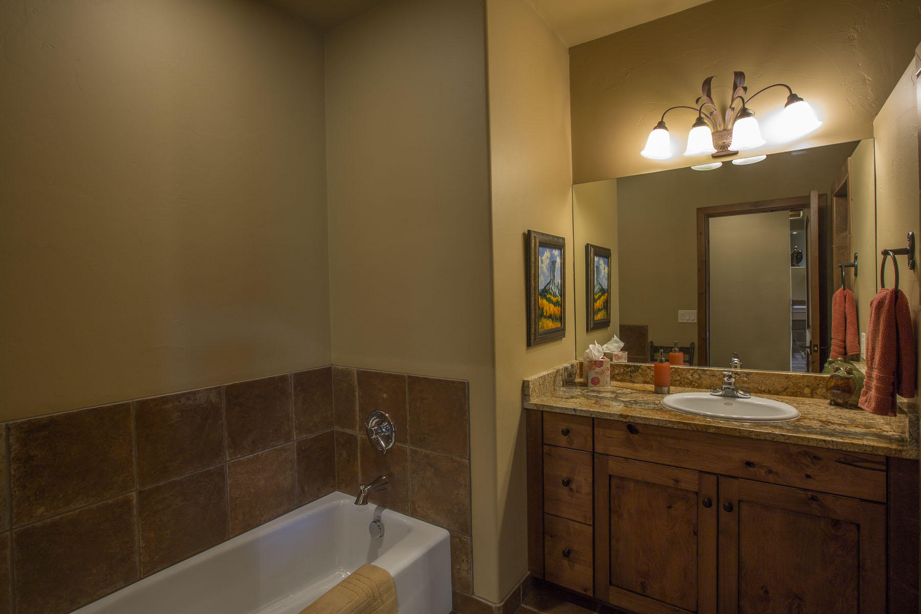 771 Cnty Road Ridgway, CO 81432 - Photo 29 of 68 Bath for Primary Guest BR