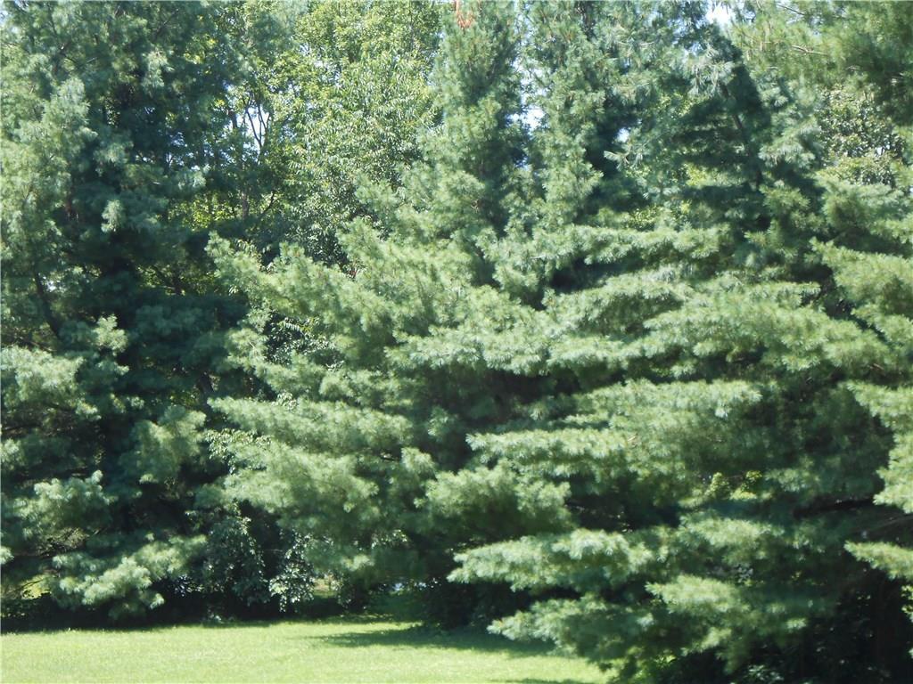 0 Whitestone Road Springfield, OH 45504 - Photo 6 of 6