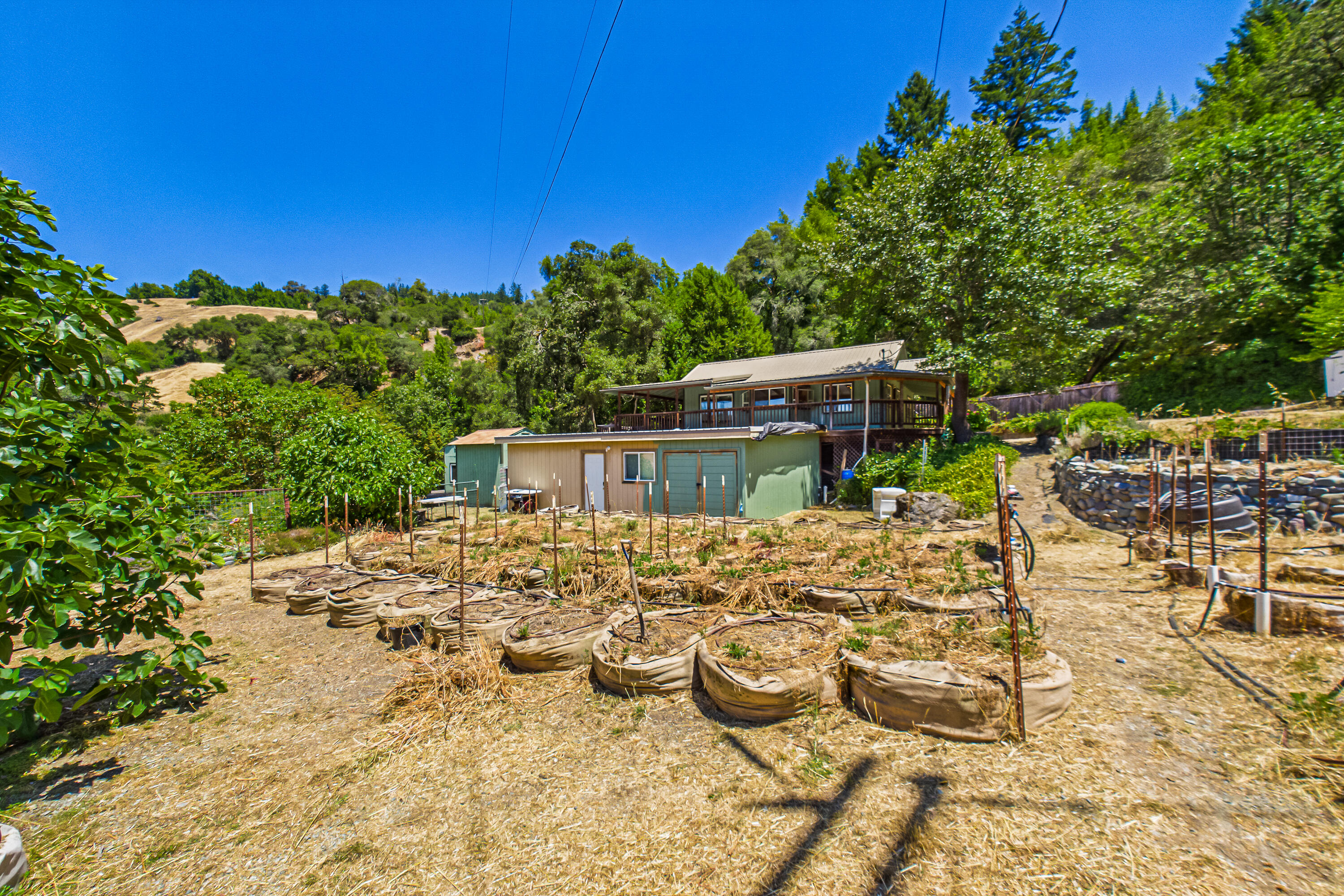 1250 Zenia Bluff Road Alderpoint, CA 95511 - Photo 62 of 73