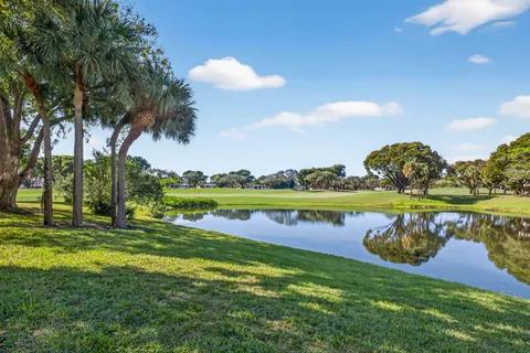 a view of a lake in a garden