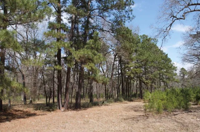 $150,000 | 4345 FM 3188, Trinity, TX 75862