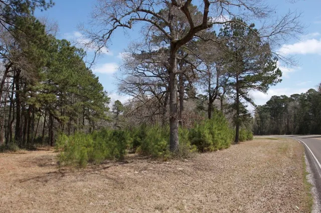 $150,000 | 4345 FM 3188, Trinity, TX 75862