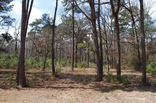 $150,000 | 4345 FM 3188, Trinity, TX 75862