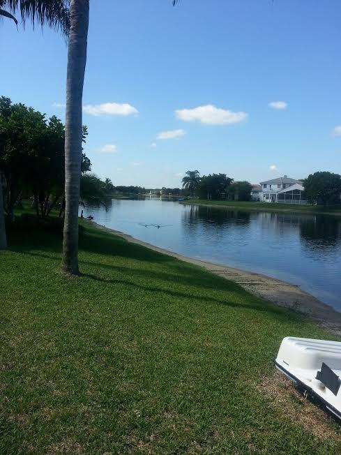 7434 Michigan Isle Road Lake Worth, FL 33467 - Photo 3 of 23 a view of a lake with a city