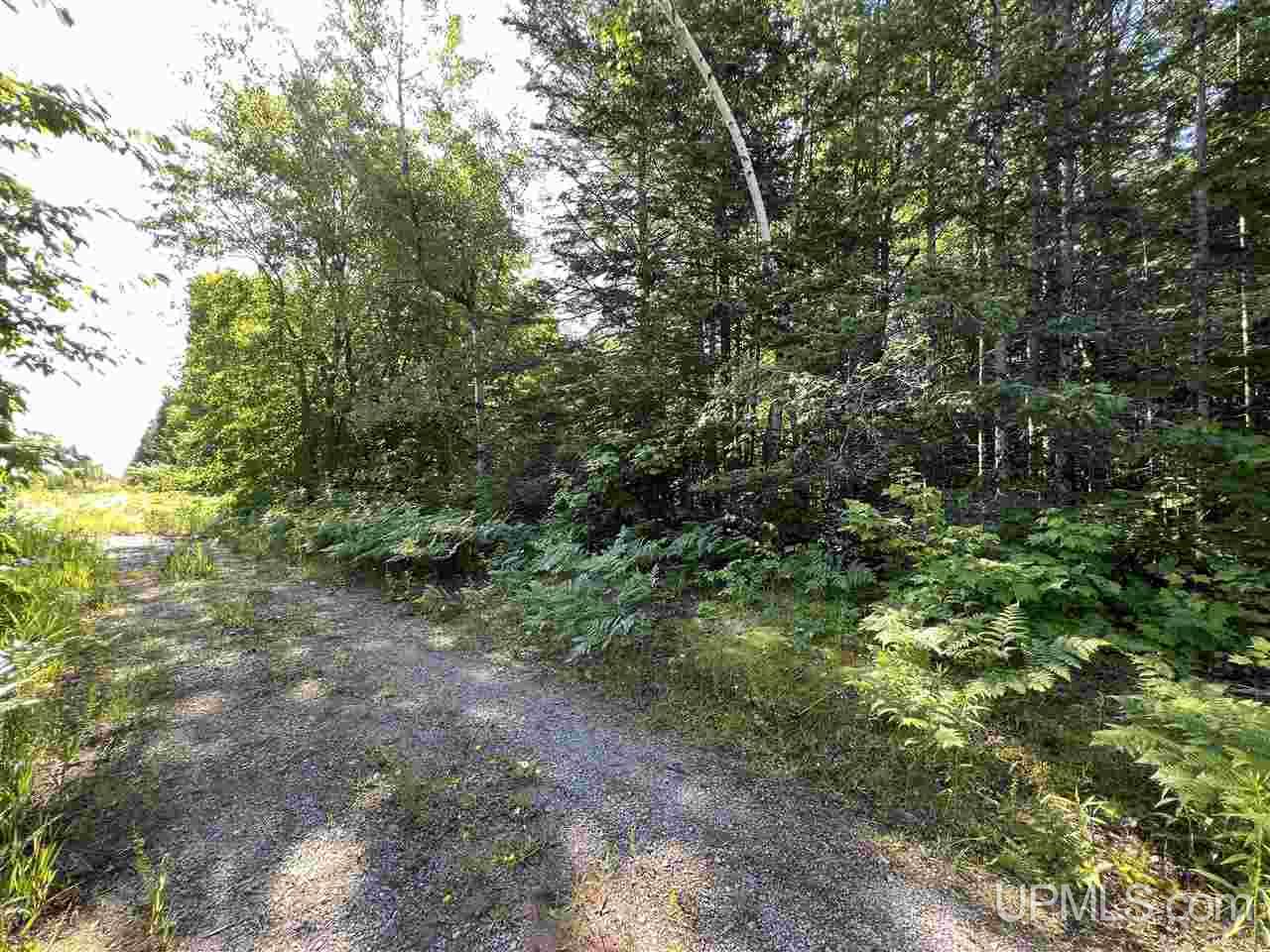 Tbd Tbd H-15 Shingleton, MI 49884 - Photo 4 of 23