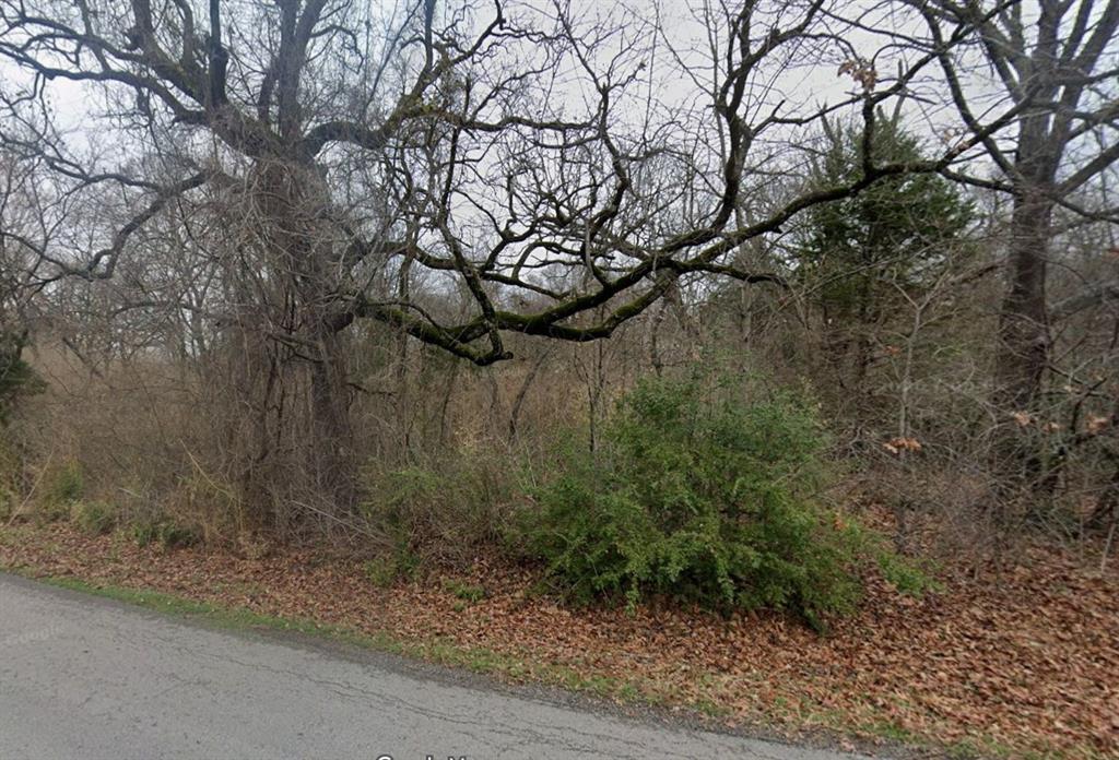 1114 Owhyhe Road, Unit R Tool, TX 75143 - Photo 2 of 2