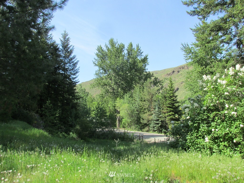 111 A Twisp River Road Twisp, WA 98856 - Photo 19 of 23 Gallery Image 19