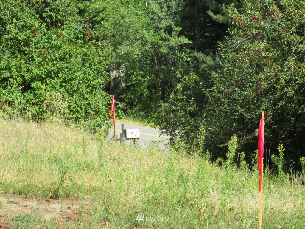 111 A Twisp River Road Twisp, WA 98856 - Photo 20 of 23 Gallery Image 20