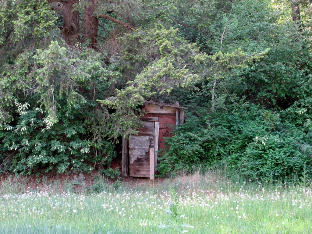 111 A Twisp River Road Twisp, WA 98856 - Photo 21 of 23 Gallery Image 21