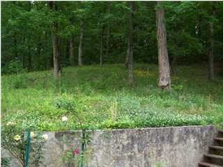 5524 Browntown Road Chattanooga, TN 37415 - Photo 2 of 10 Additional Photo