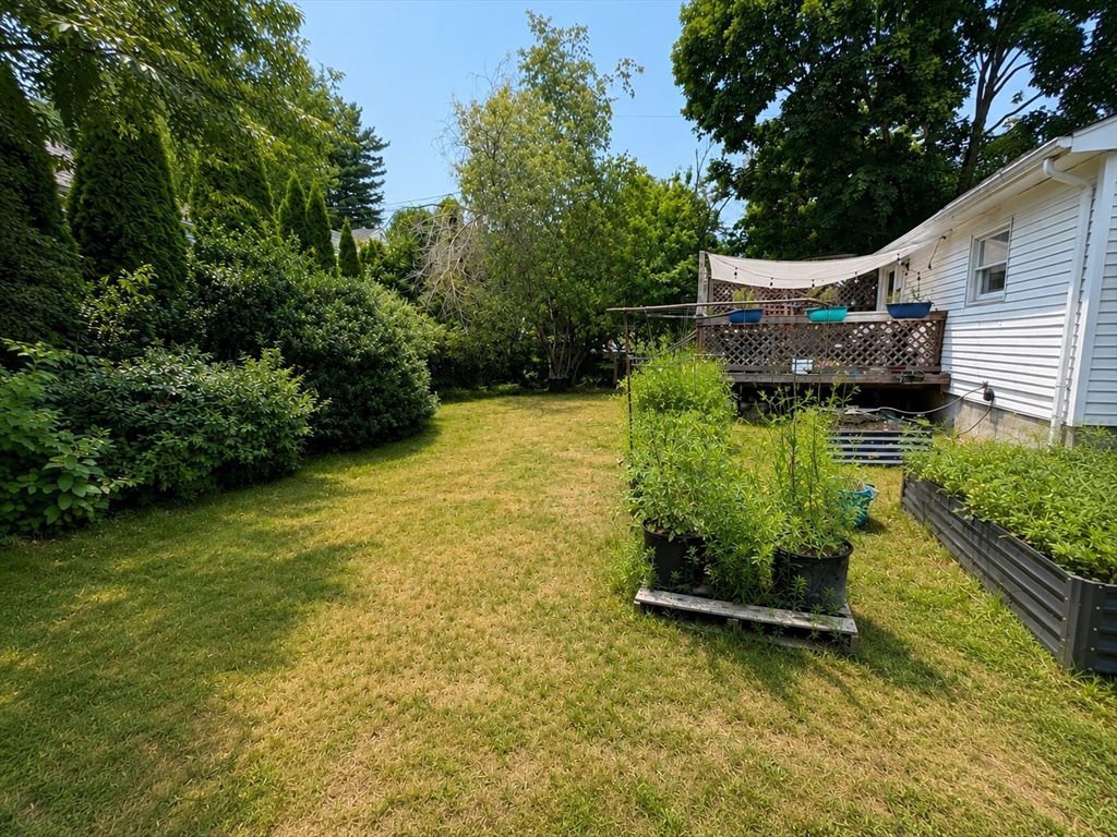 63 Vincent Road Dedham, MA 02026 - Photo 7 of 11