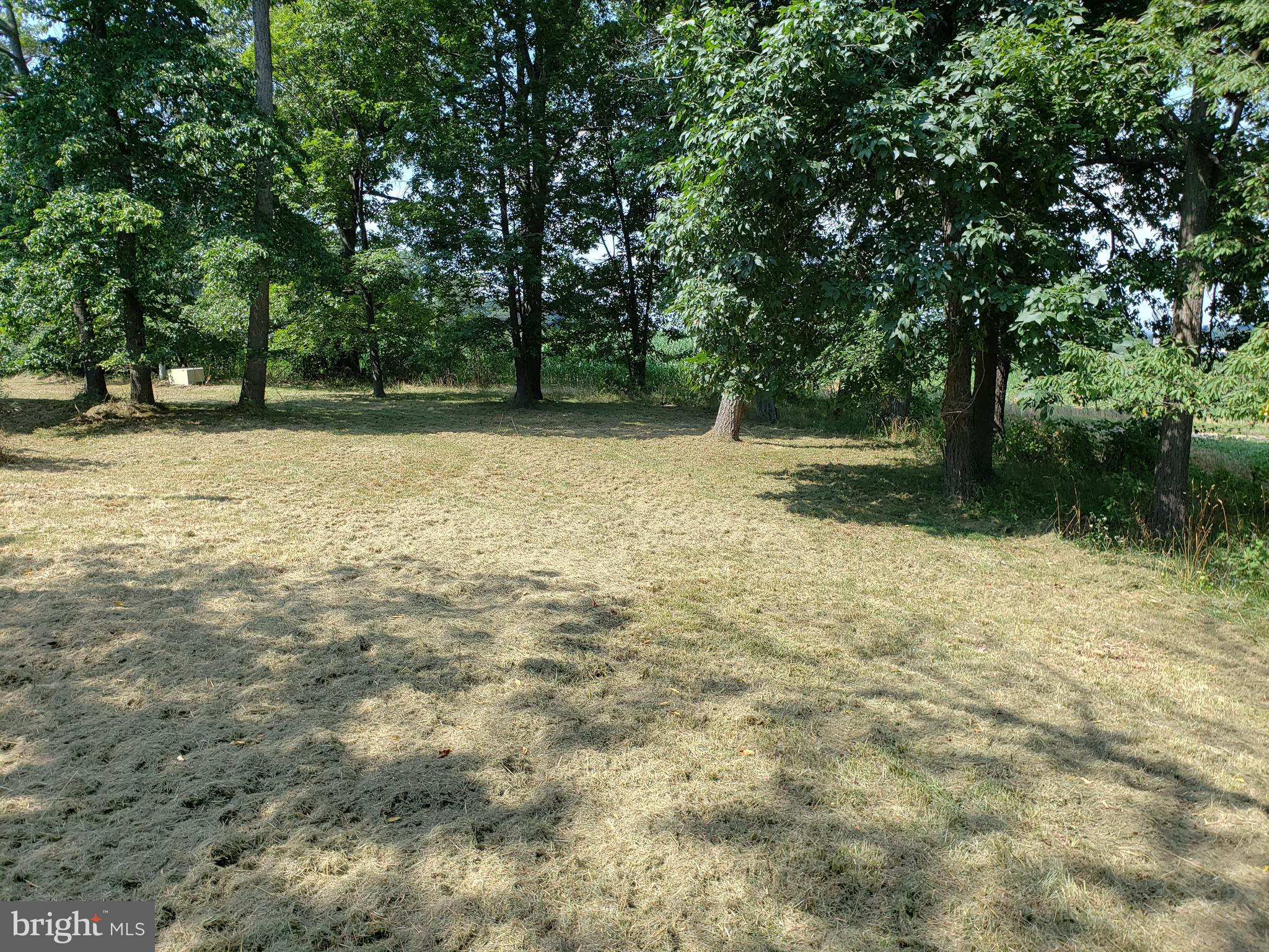 1303 Arnold Road Westminster, MD 21157 - Photo 7 of 53 SIDE