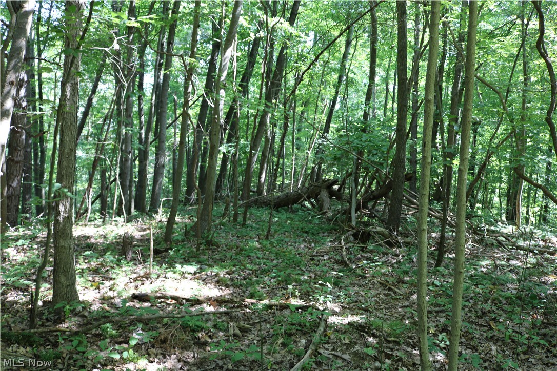 Lick Run Road Newcomerstown, OH 43832 - Photo 19 of 23 Gallery Image 19