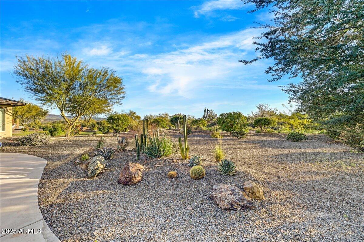 17919 East Slide Rock Drive Rio Verde, AZ 85263 - Photo 25 of 79 14-Backyard Landscaping
