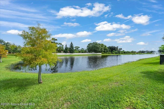 a view of a garden with a slide