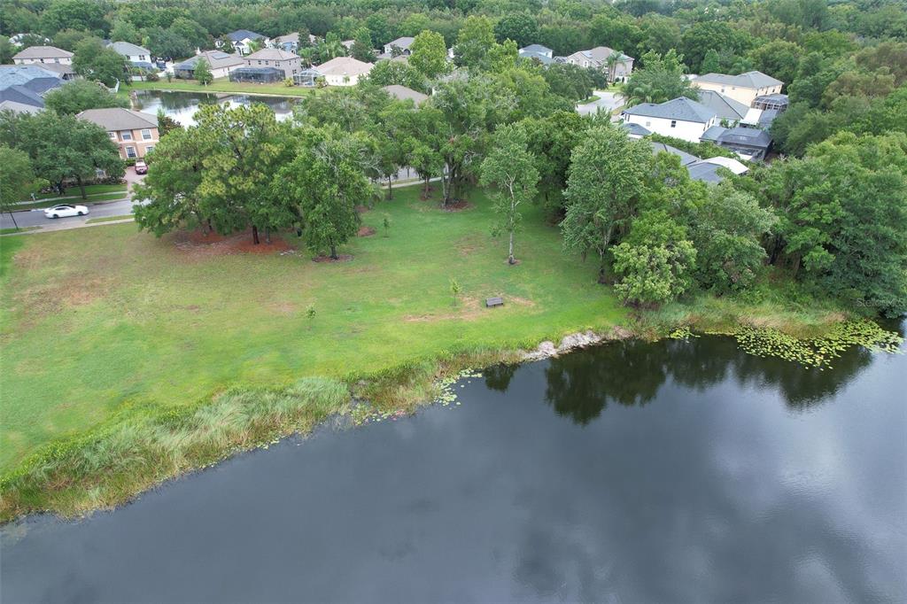 4812 Walnut Ridge Road Land O' Lakes, FL 34638 - Photo 66 of 74 Gallery Image 66