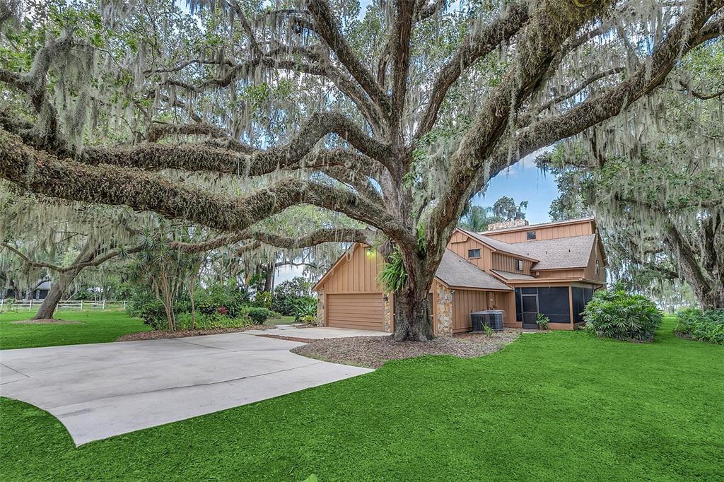 1381 Pine Island Road Kissimmee, FL 34744 - Photo 1 of 1 Gallery Image 1