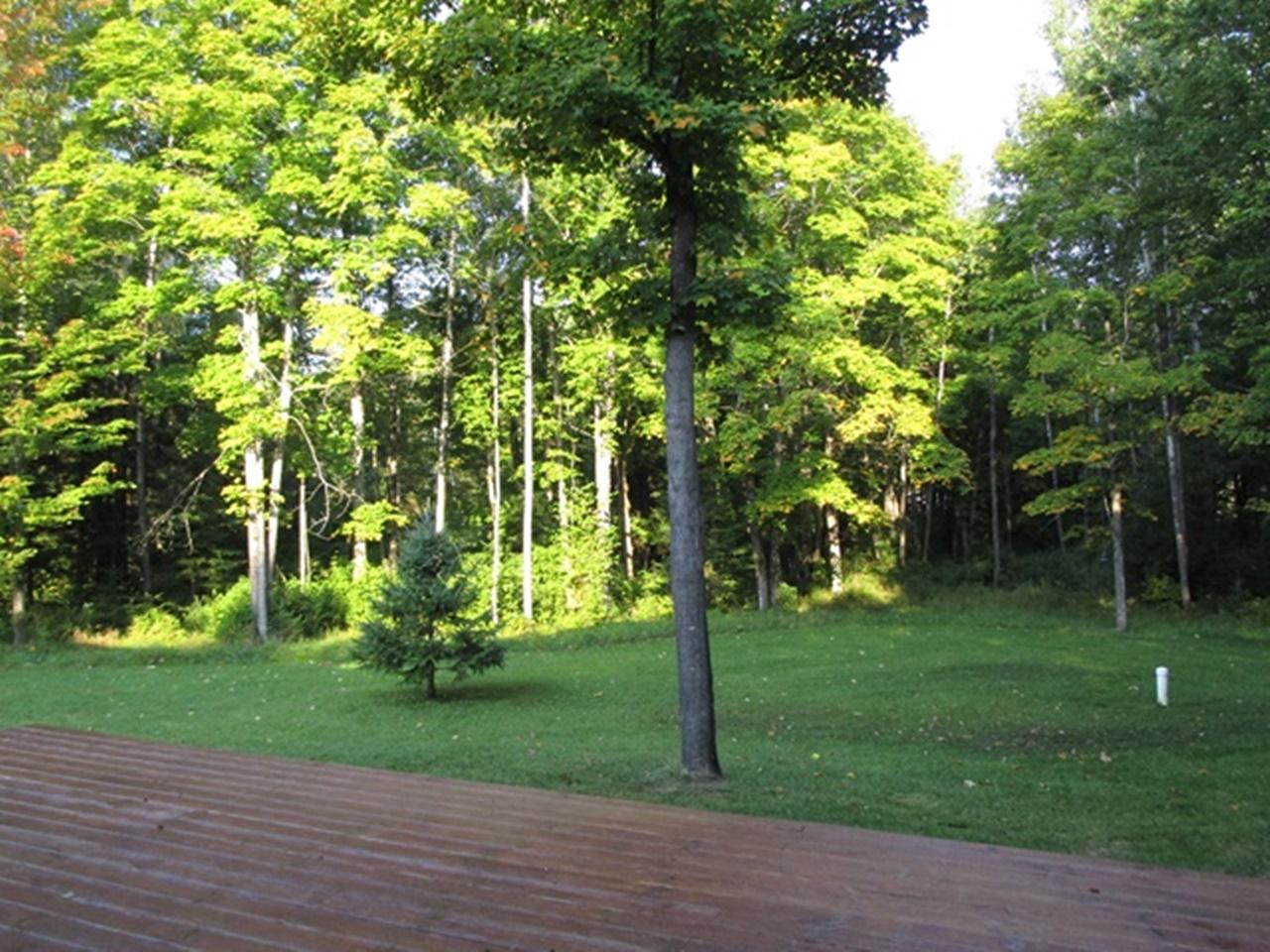 6694 West Miller Road Butternut, WI 54514 - Photo 26 of 37 Gallery Image 26
